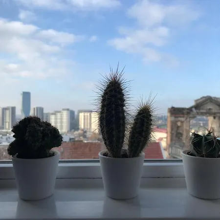 Centrum * 베오그라드